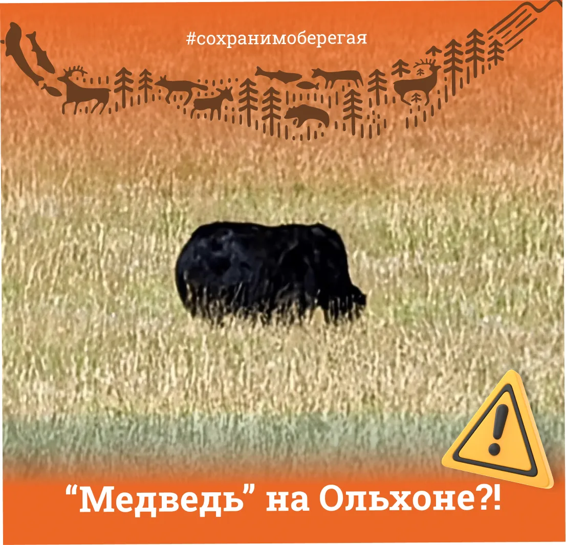 «МЕДВЕДЬ" НА ОЛЬХОНЕ
