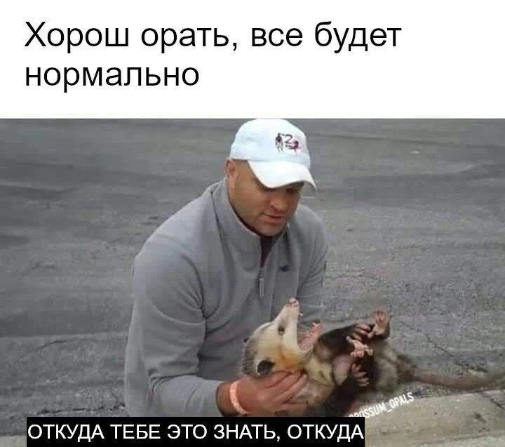 Первый сеанс у психолога 😅