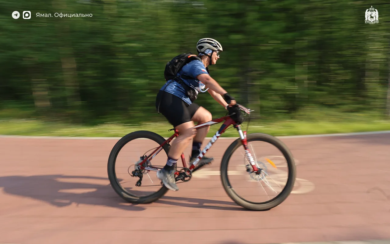 В ямальских автобусах разрешат бесплатно провозить велосипеды 🚲