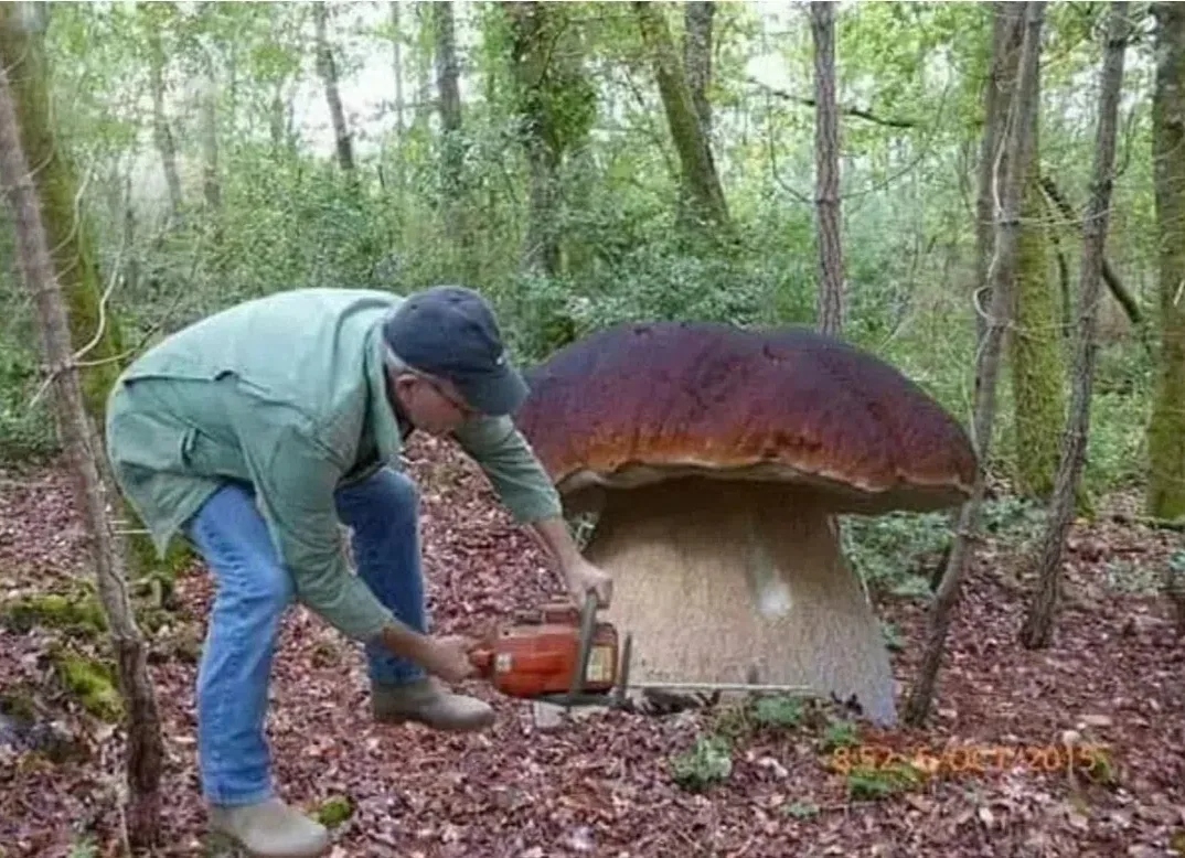 ...Тем временам в Сурке🤣