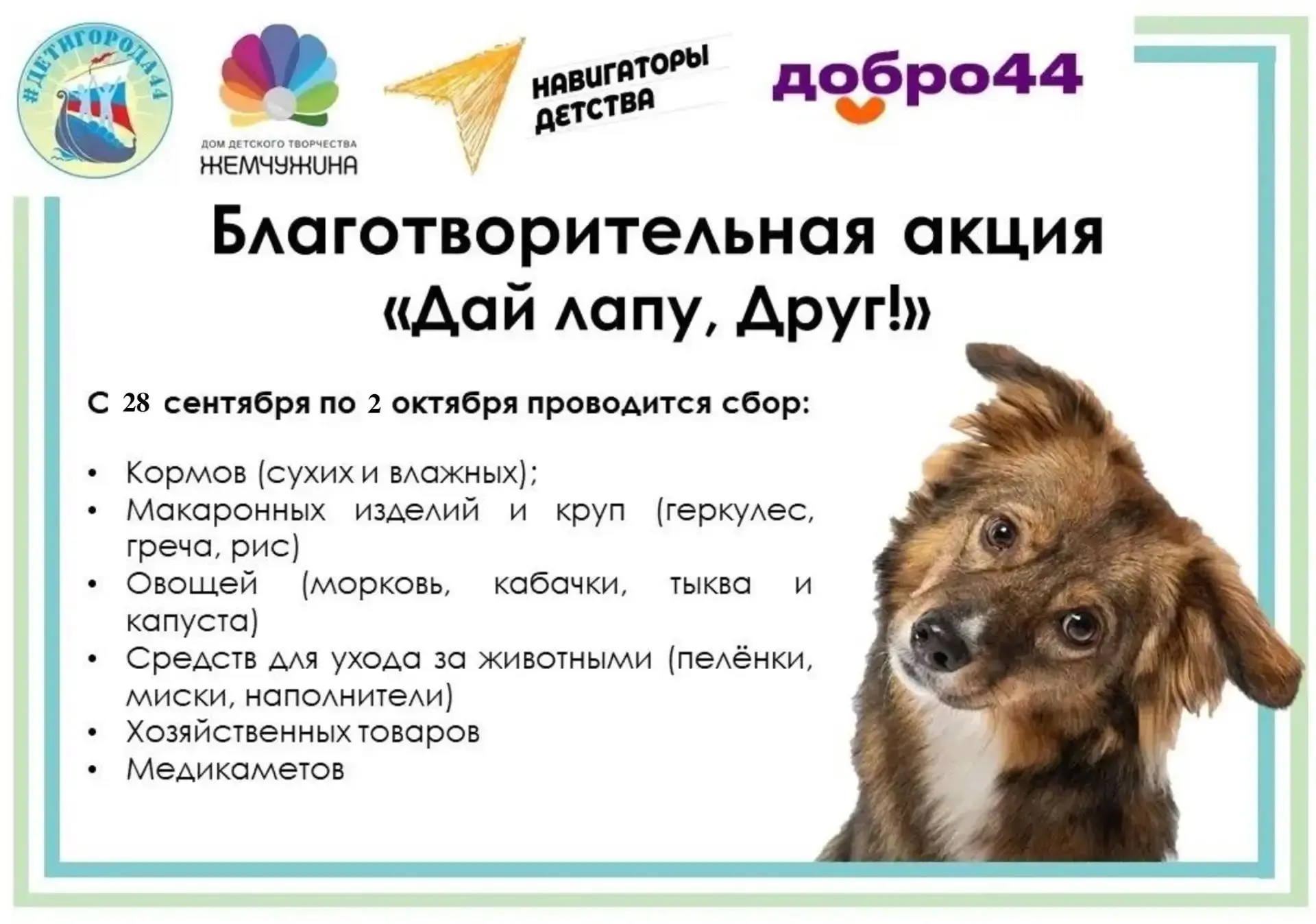 🐶 "Дай лапу, Друг!" - стартует благотворительная акция!