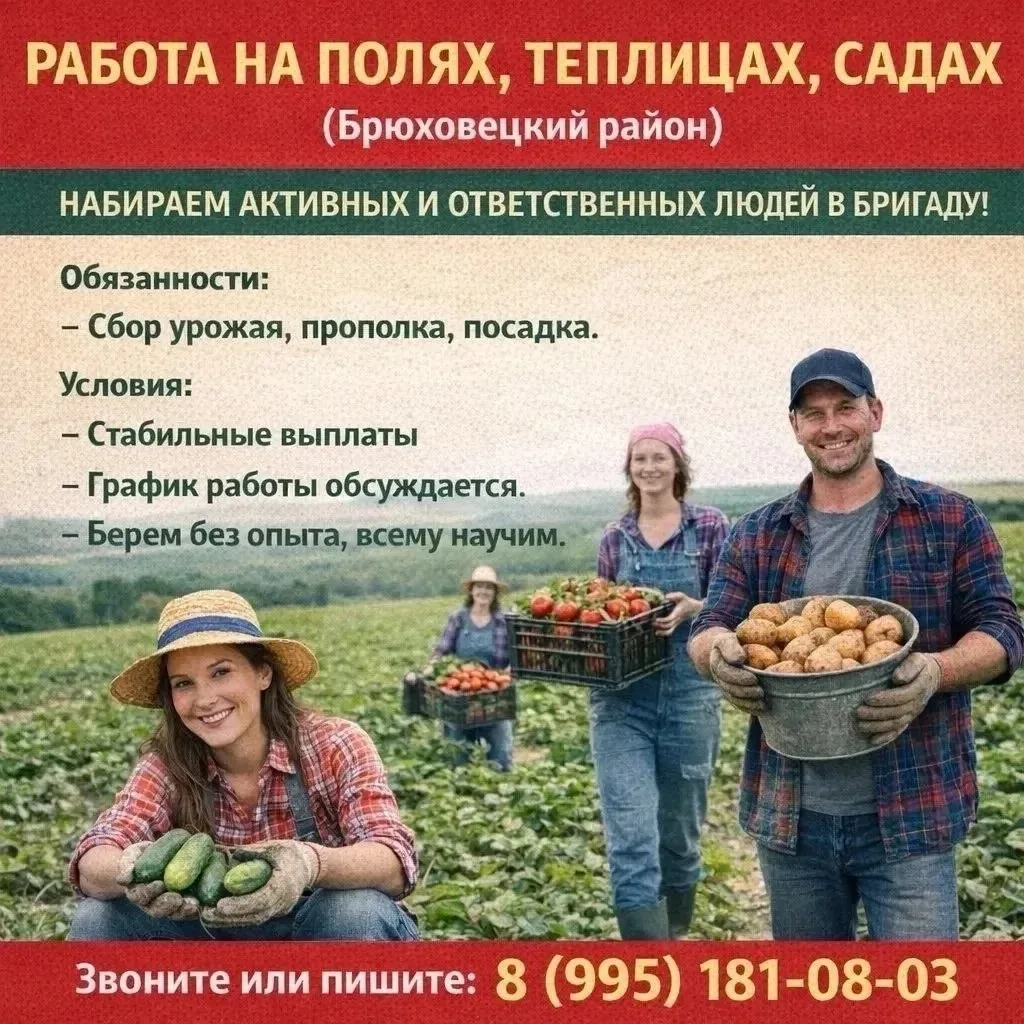 🔊 СБОРЩИК ЯБЛОК