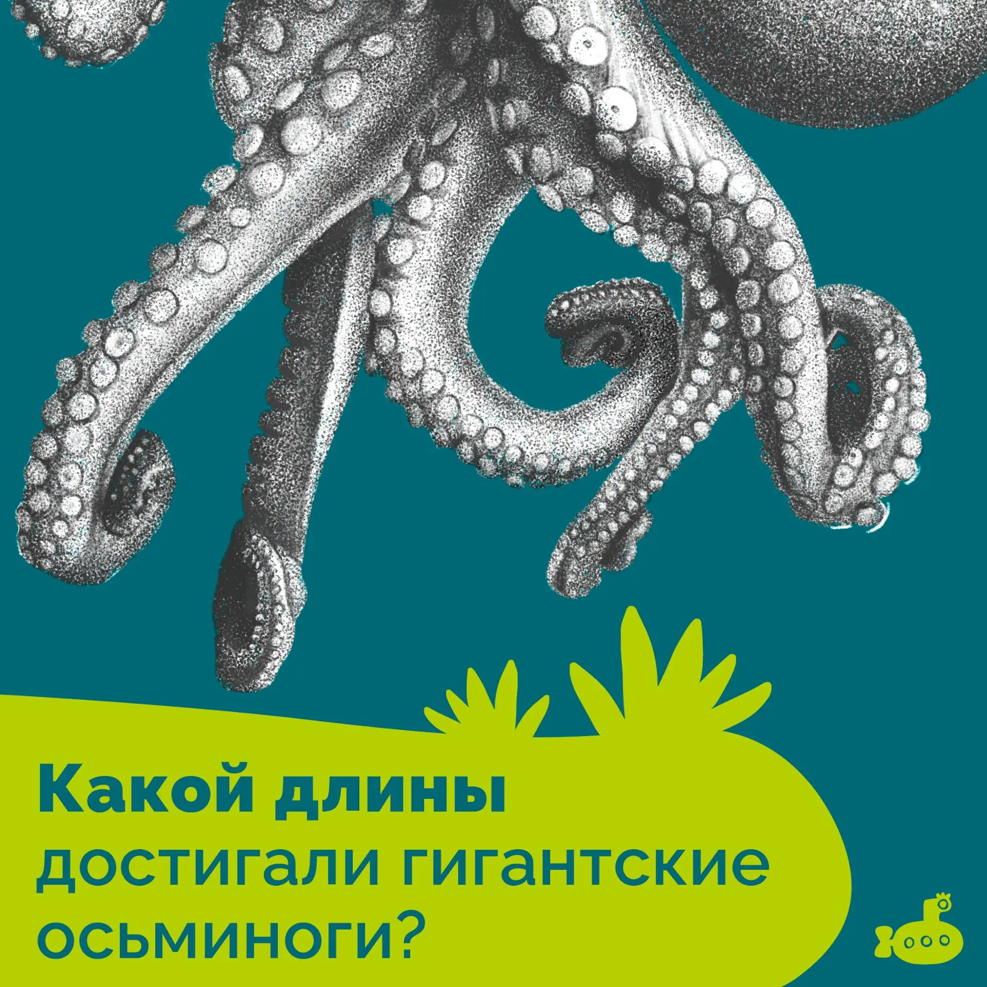 🐳 Похоже, гигантские кракены существовали!

Правда, задолго до появления мифов о них и самого челов