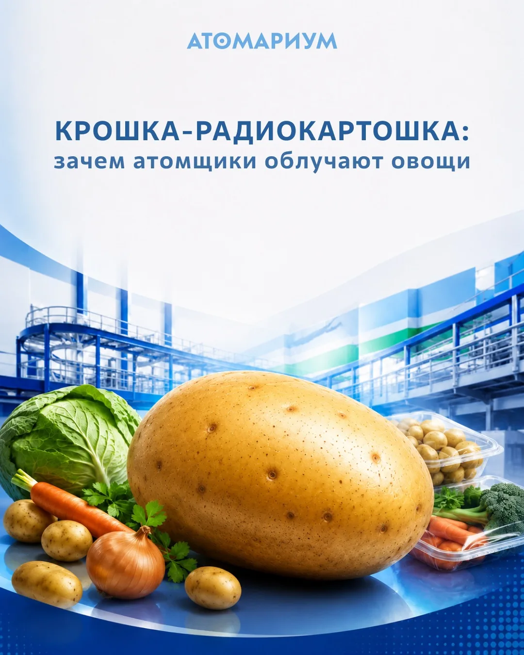 Крошка-радиокартошка: зачем атомщики обрабатывают овощи радиацией.