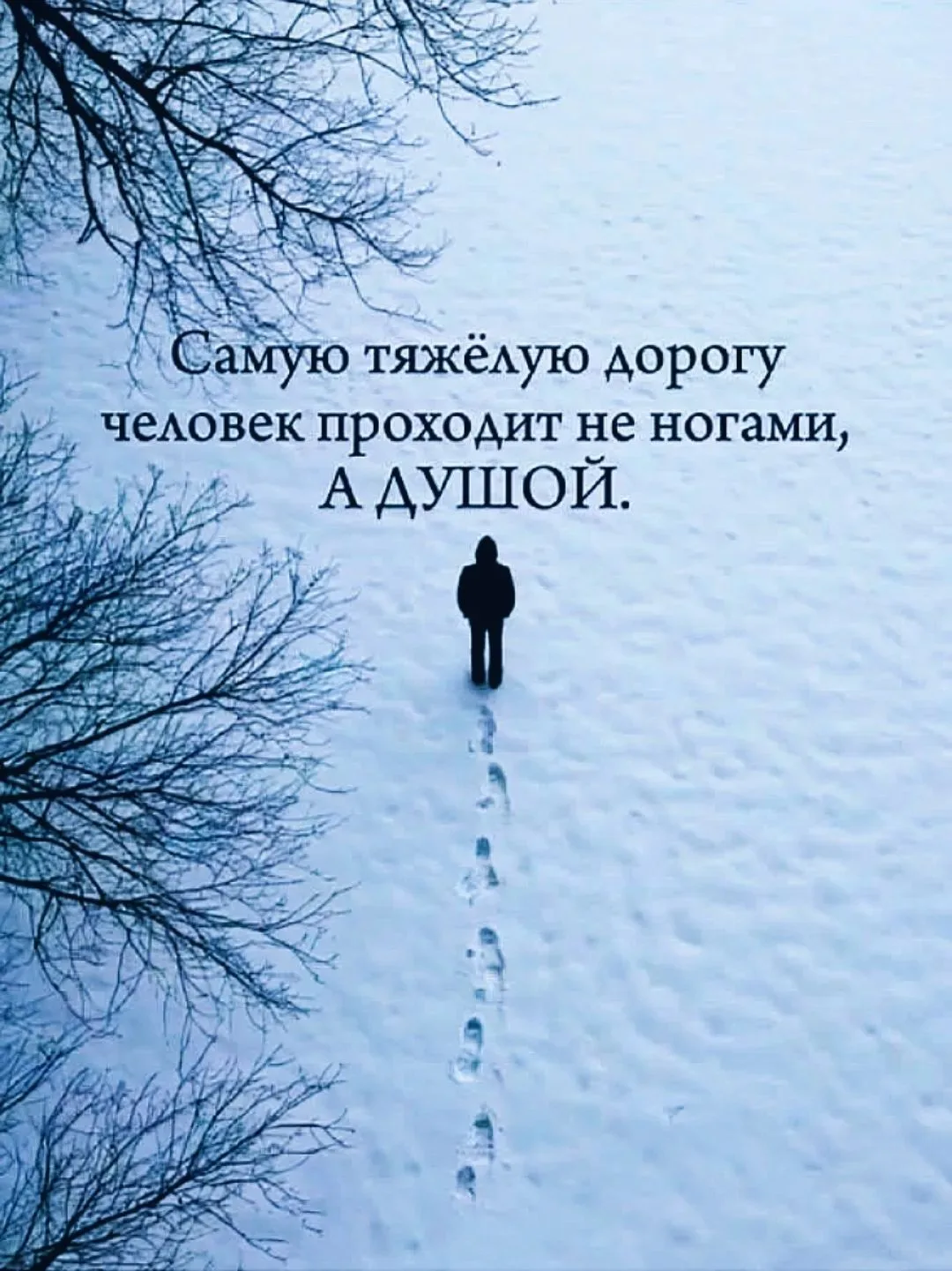 Для души ❤️