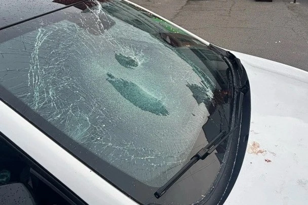 Голого “пассажира” снимали с капота такси в Петербурге 

Около четырех утра 13 июня на улице Доброво