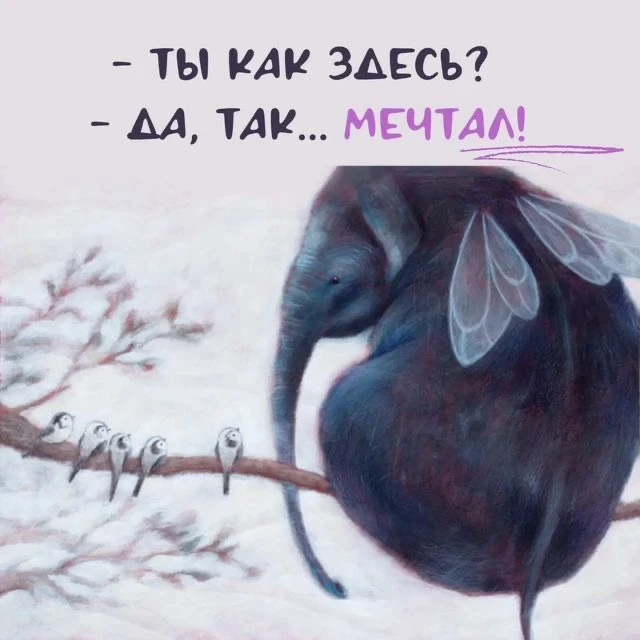 Доброе утро, мир!🍁