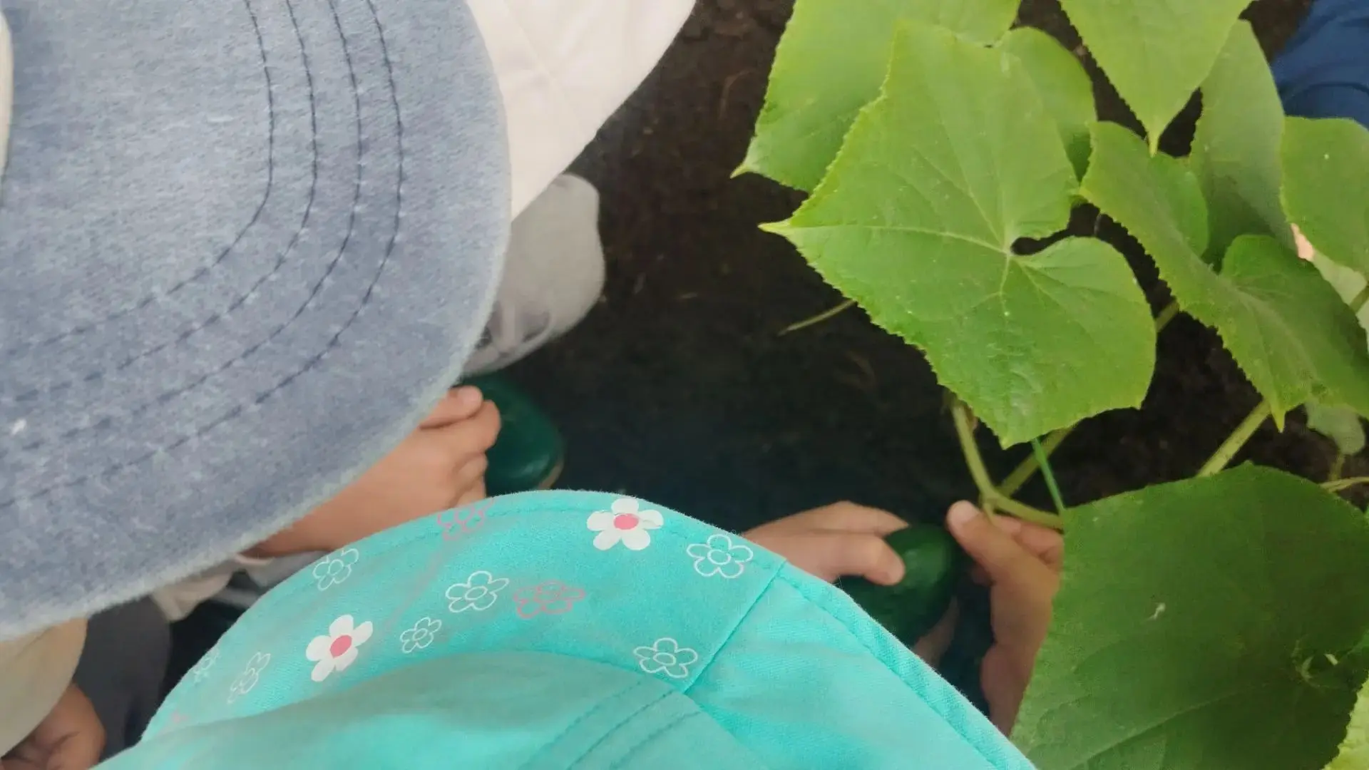 🥒 Вот и настал тот самый волнительный момент,  которого воспитанники средней группы № 2 совместно с