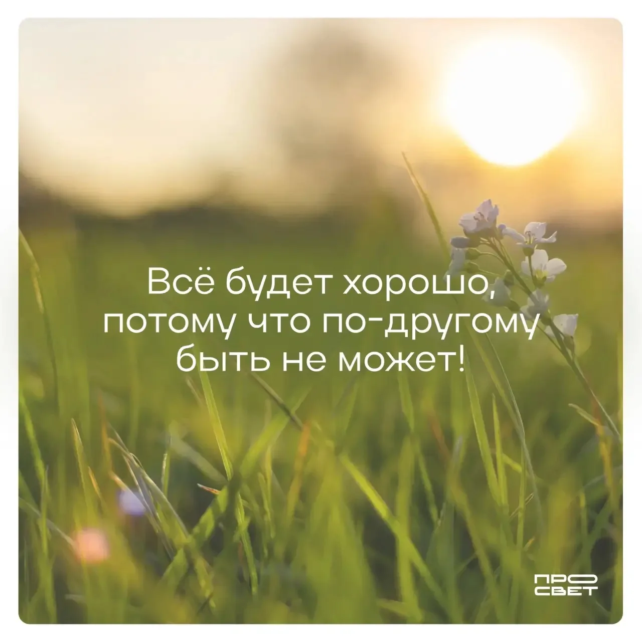 Утренний настрой ☀️  Просвет уверен, что сегодня ваш день пройдет на все 💯 Готовим для вас самые ярк