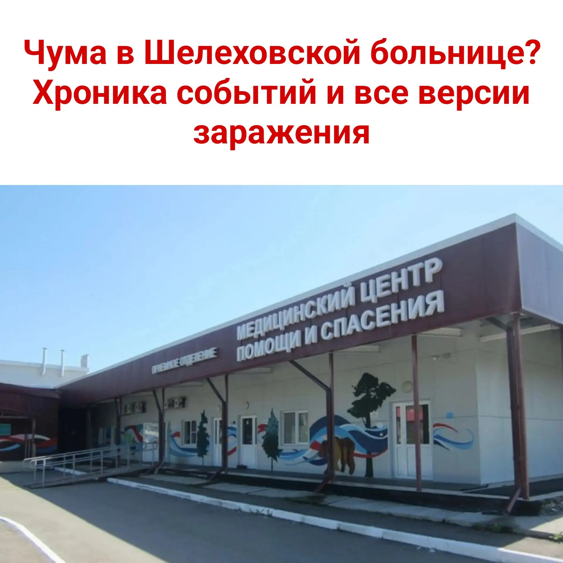 🚨 Чума в Шелеховской больнице? Хроника событий и все версии заражения