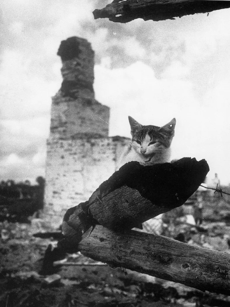 Фотографии Михаила Ивановича Савина. 📷
