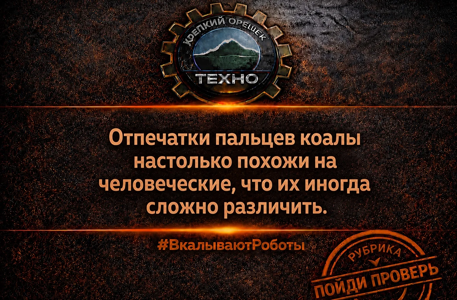 #ВкалываютРоботы #ROBOT #AGRO #TECH #AI #FYP