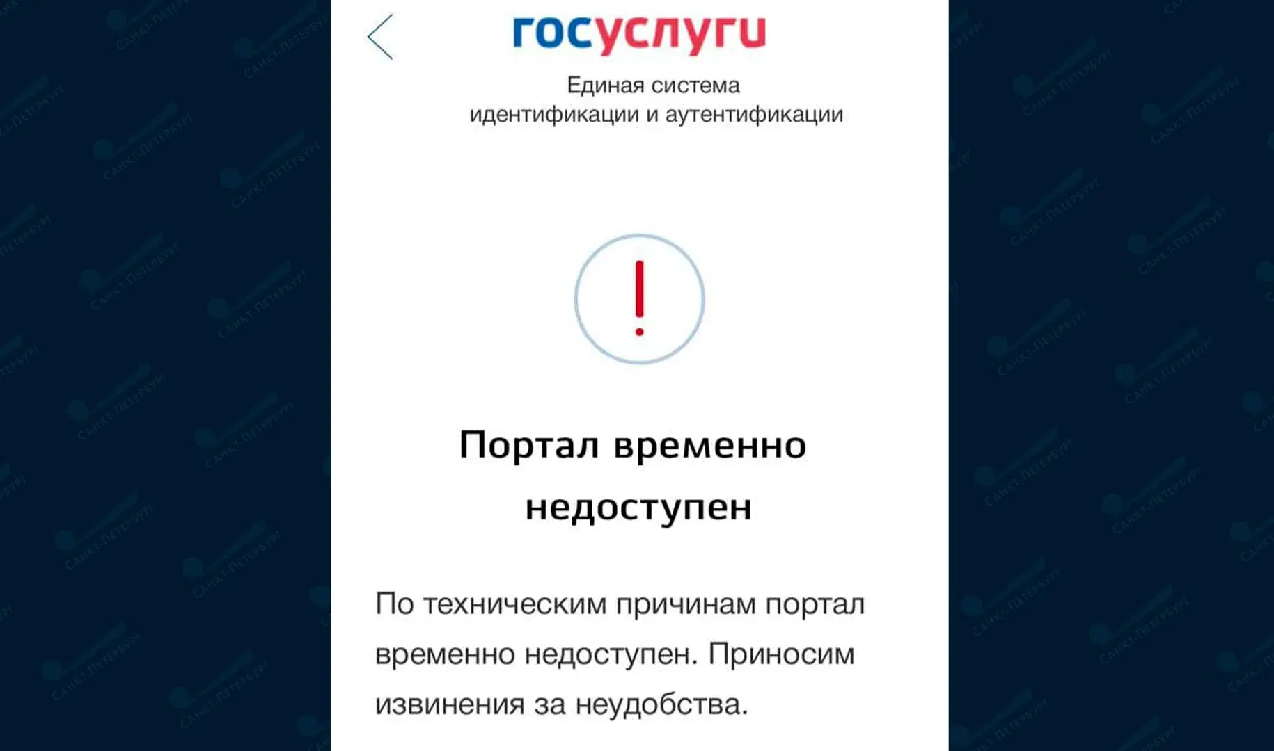 Цитата ДНЯ