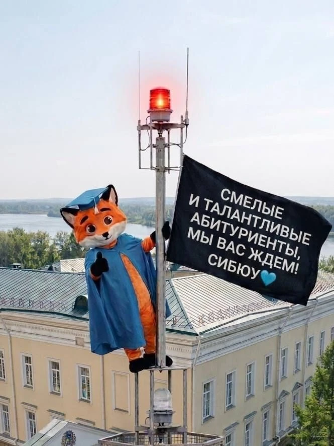 Он забрался на самый верх, чтобы вы точно не прошли мимо

Пока вы думаете, лисёнок уже всё разведал:
