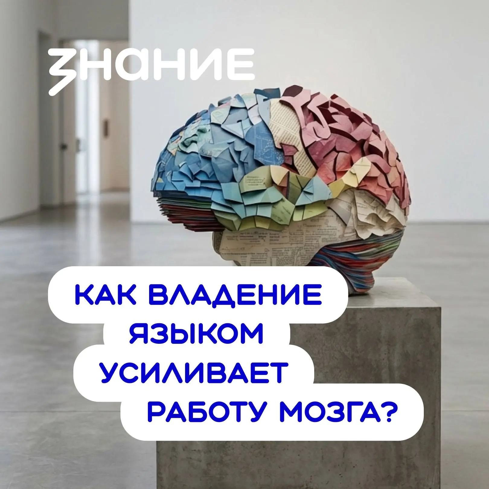 Связь языка и мышления давно остаётся предметом изучения в психологии и нейронауке 🧠