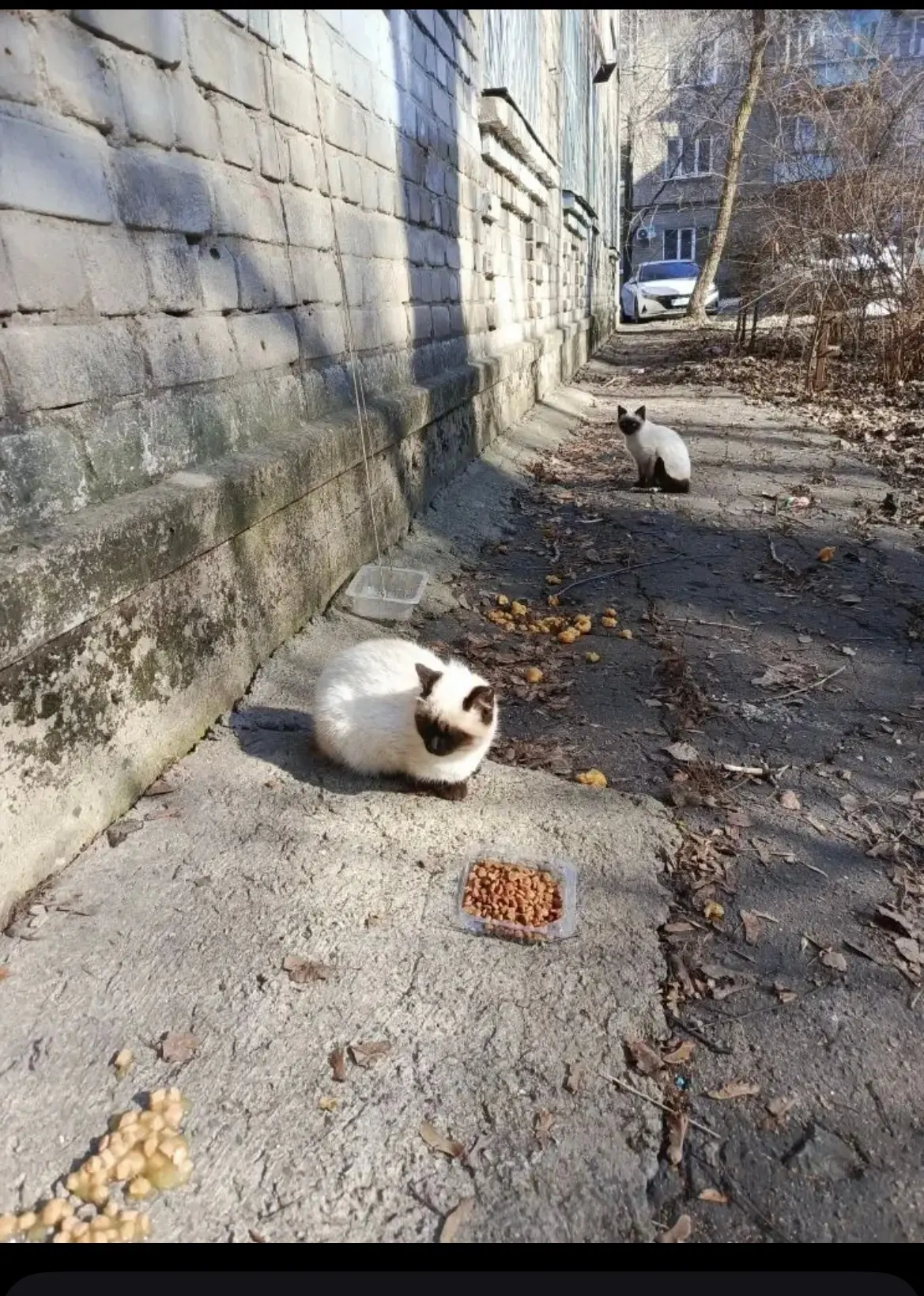 Воронеж