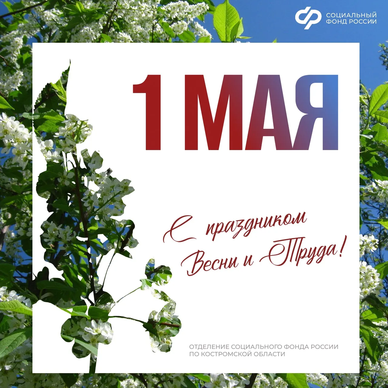 ⭐ Первомай объединяет ценности, которые остаются неизменными: уважение к труду, взаимная поддержка и