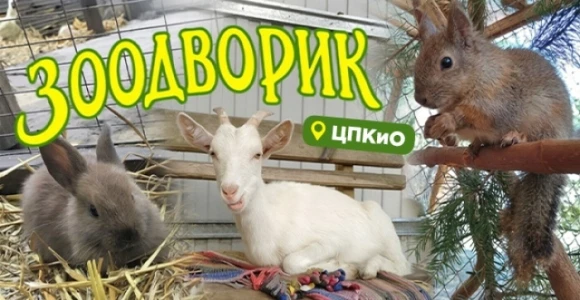 Скидка 50% на посещение Зоодворика в ЦПКиО: https://pokuponcho.ru/deal/15356-skidka-50-...