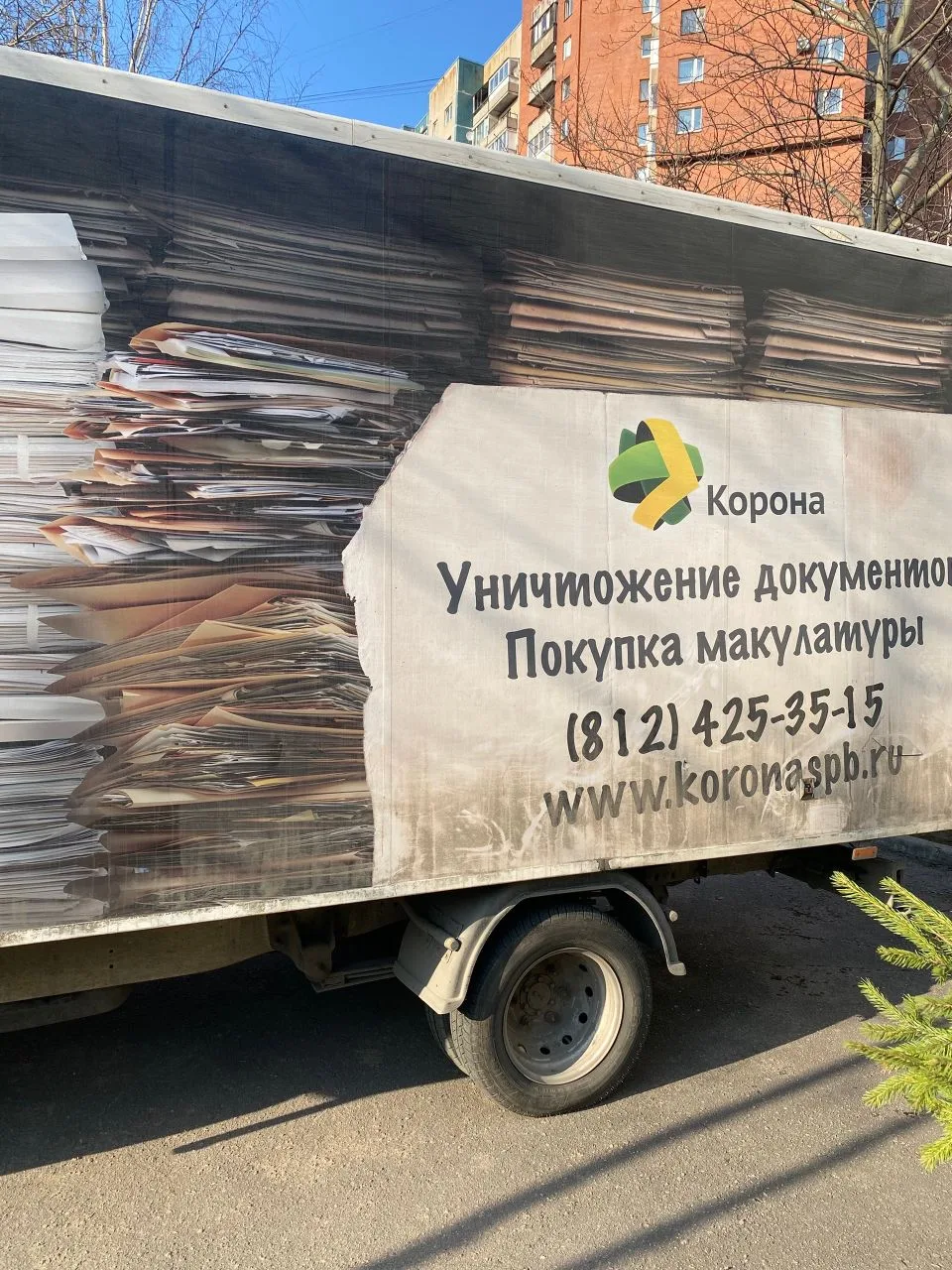 Итоги акции «Сделай мир зеленым» 🌳