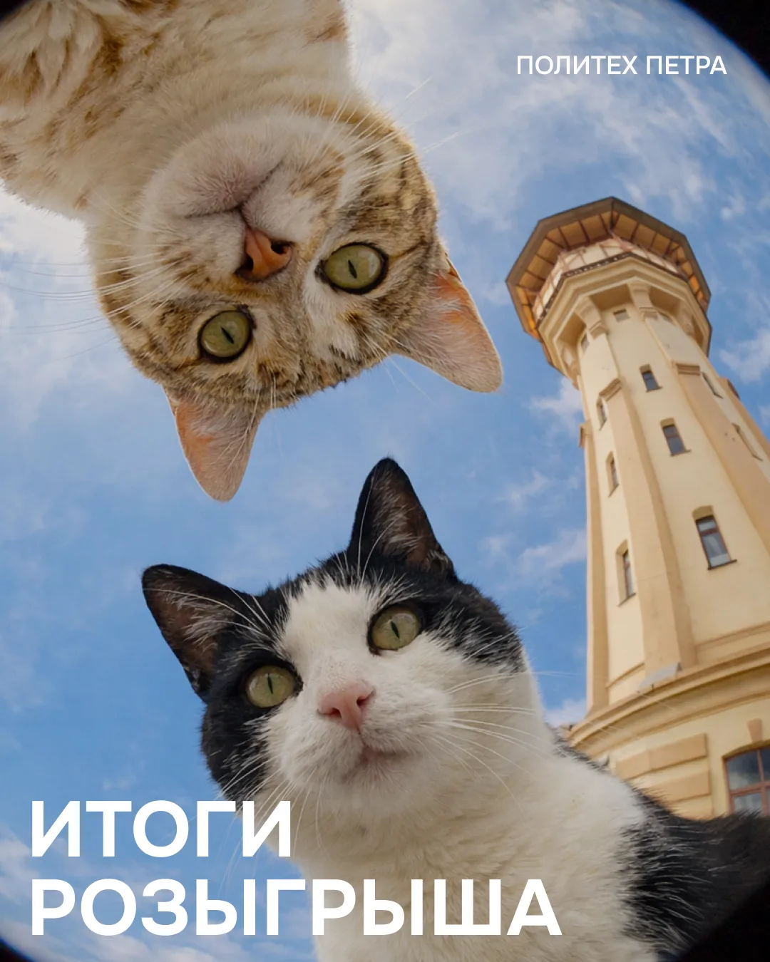 Не подводим вас!