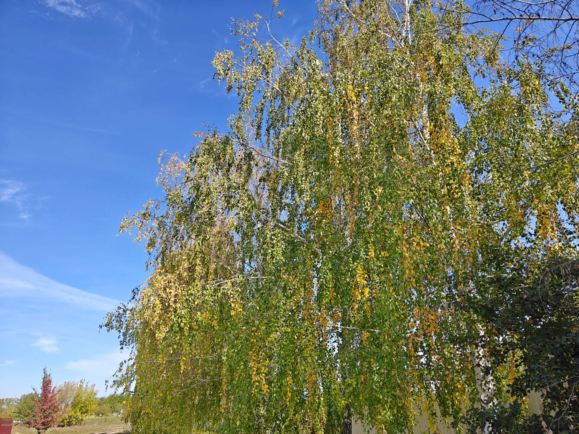 ☀️ Доброе утро, дорогие жители!