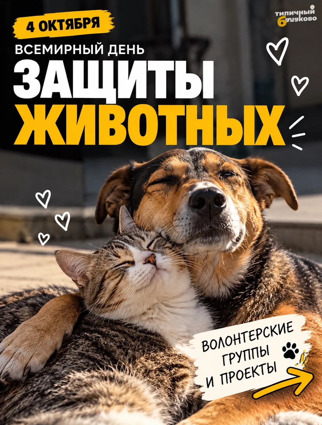 🐾 Сегодня — Всемирный день защиты животных