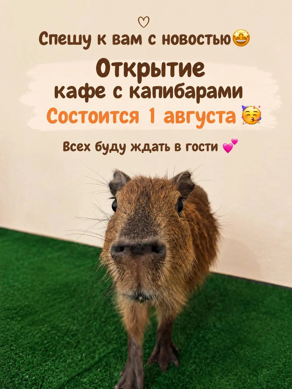 В парке «Сокольники» станет еще интереснее😍

С 1 августа на территории парка откроется новая локаци