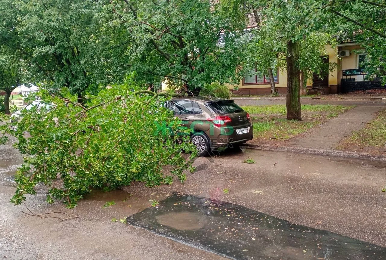 ⚡️В Воронеже из-за сильной бури дерево рухнуло на автомобиль у остановки «17 квартал»

Очевидцы деля