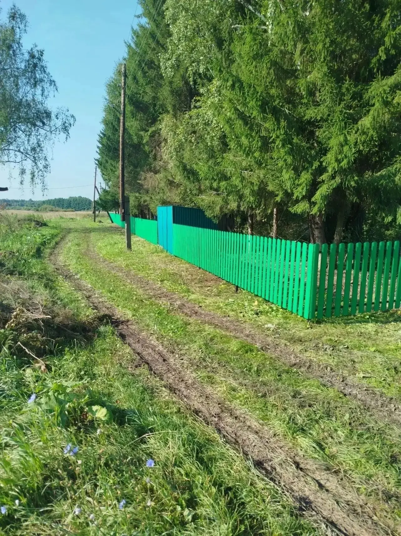 Как совместными усилиями, при поддержке государства и активной позиции граждан, можно р...