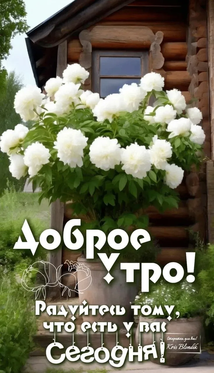 🥰 Ставьте реакции и делитесь открыткой с близкими ❤️

💌 Лучшие Открытки в MAX! 👉 Подписаться