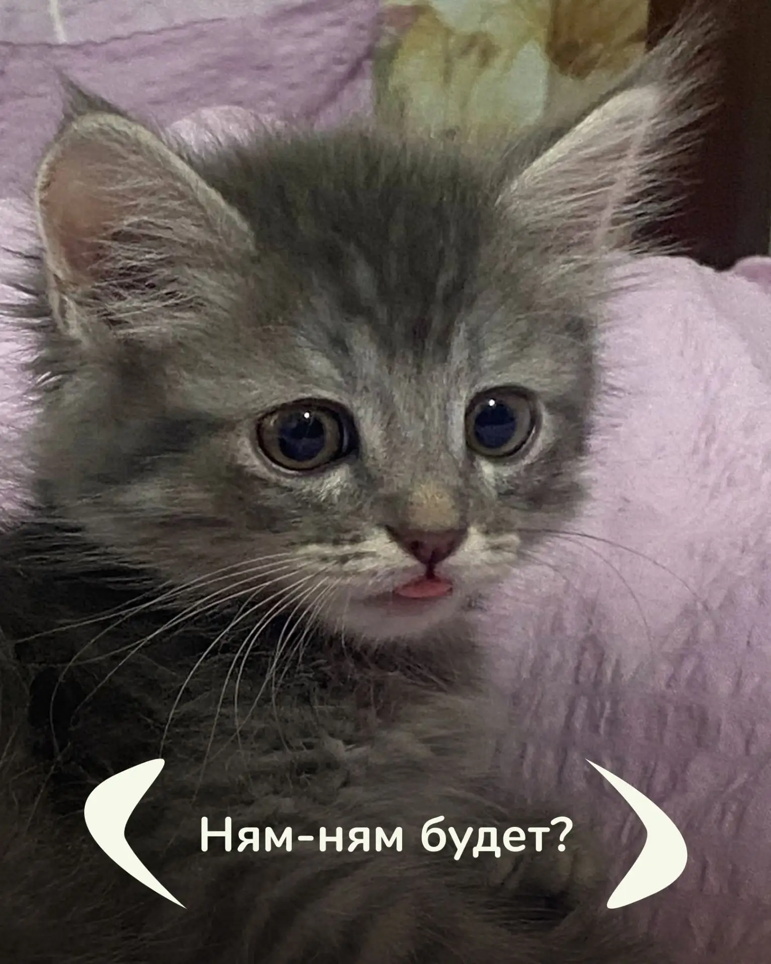 Другие вопросы не интересуют...