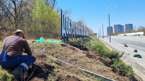 🌳Владивосток массово озеленяют — в городе высадят больше 30 тысяч деревьев  Во Владивостоке продолжа