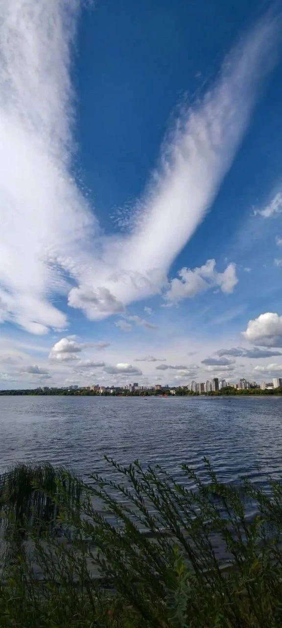 ☁️Небо над Липецком украсило облако в форме птицы
