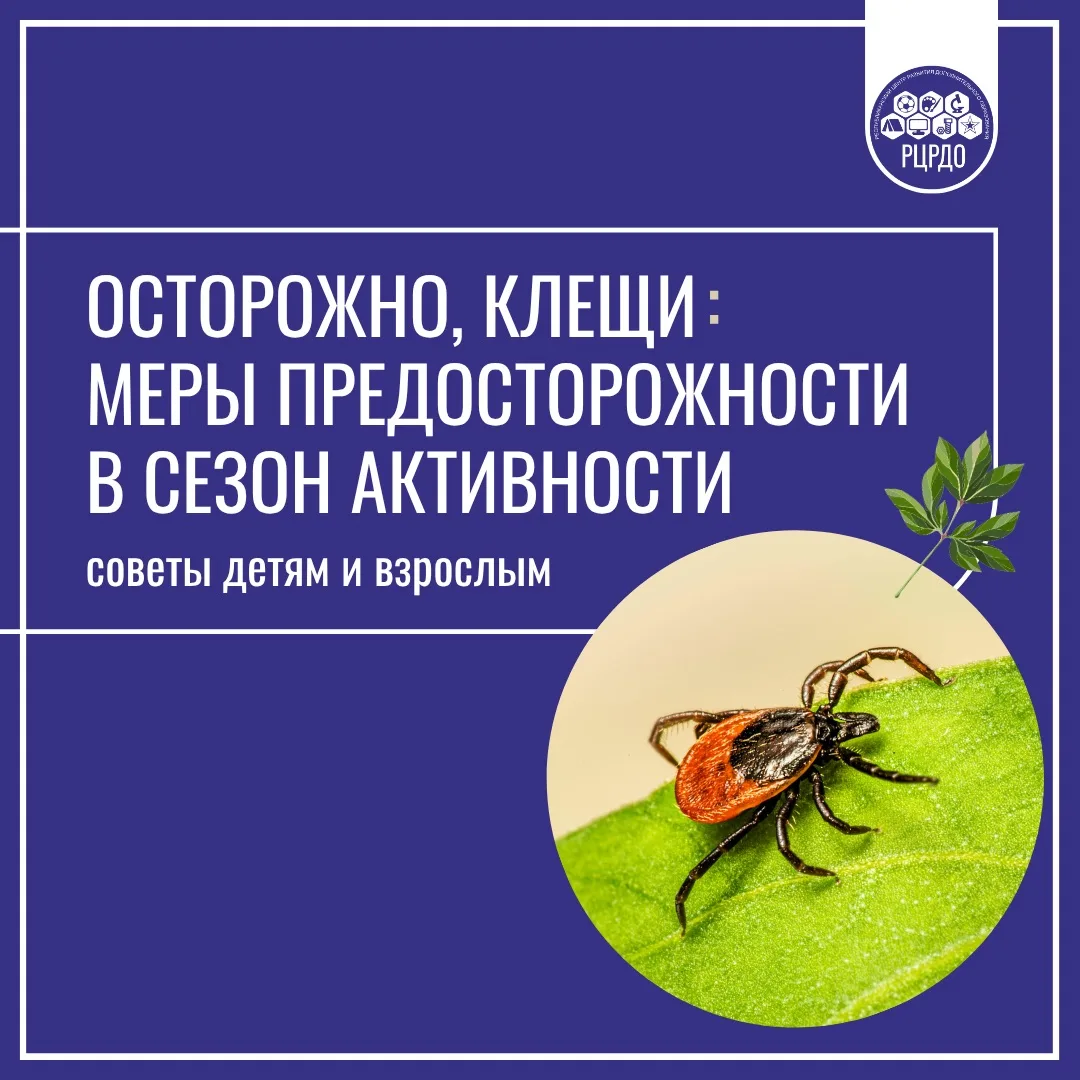 ☝️ Осторожно, клещи: как защититься в сезон активности?