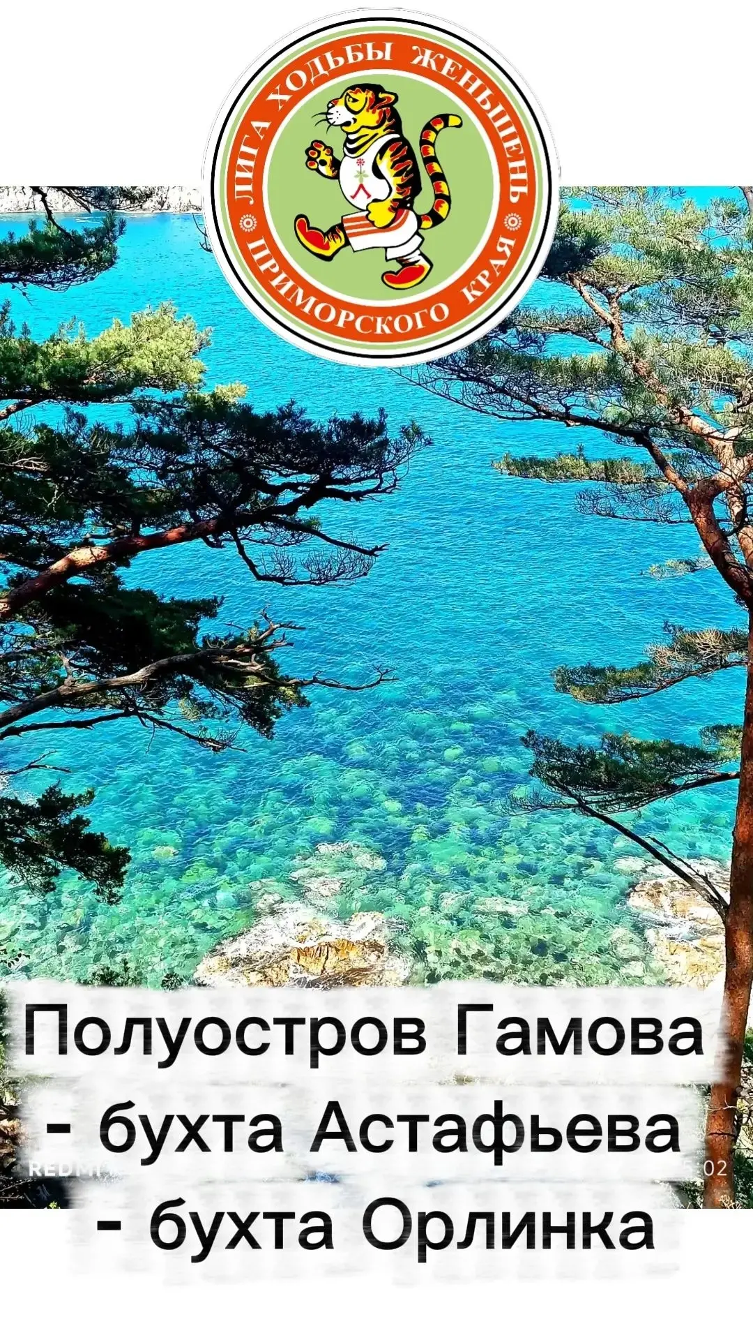 Взяли второй автобус.

Есть еще несколько мест.

Полуостров Гамова - бухта Астафьева - бухта Орлинка