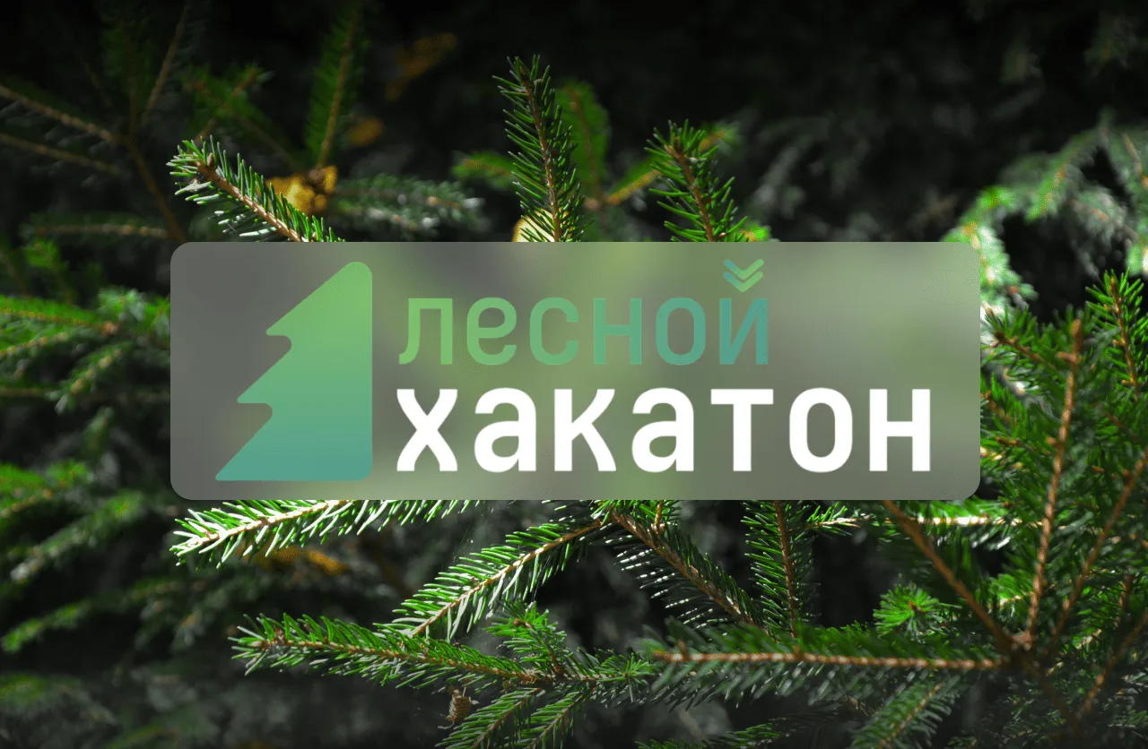 Амурские студенты могут поучаствовать в конкурсе по цифровизации лесной отрасли