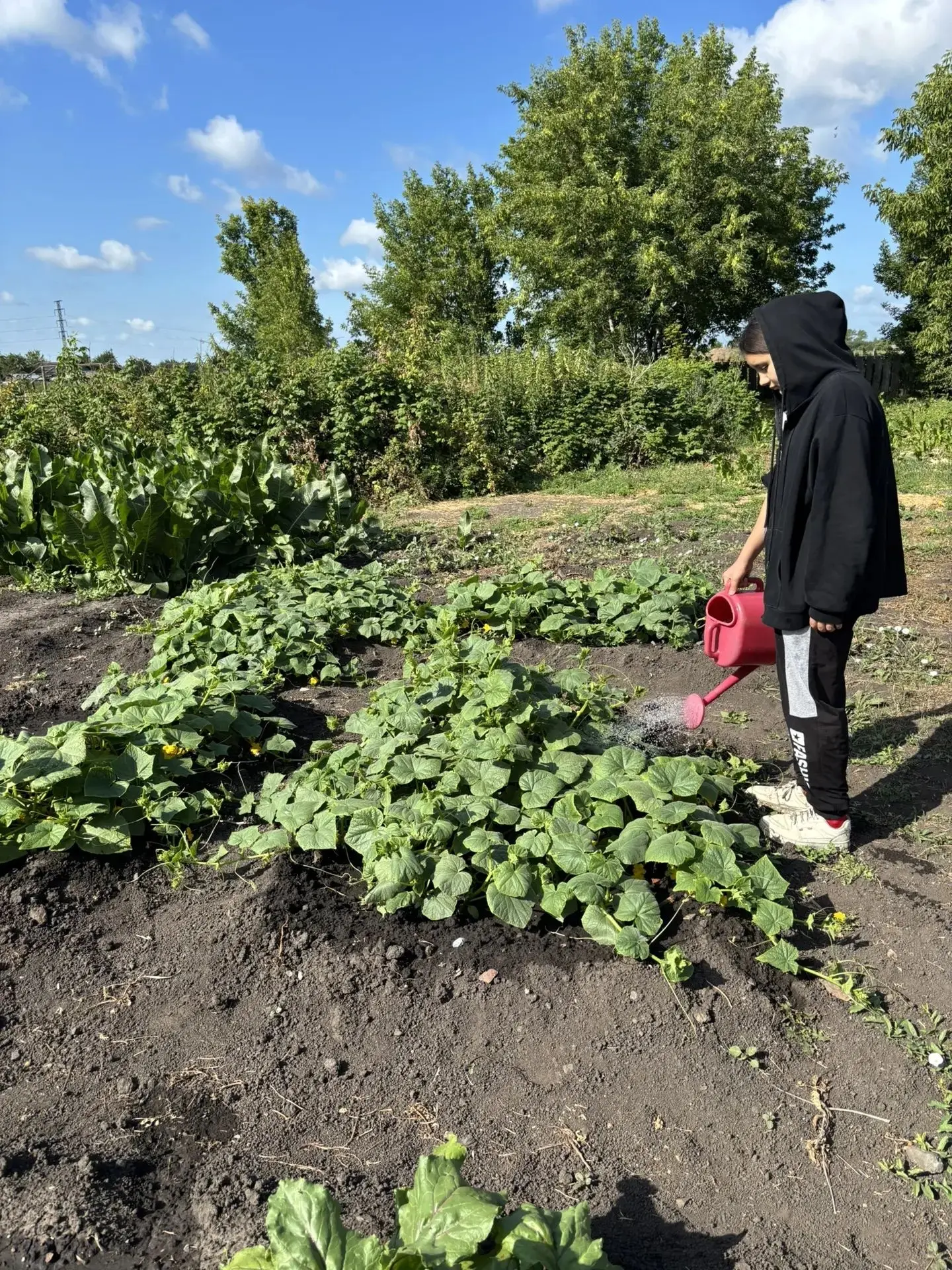 🌞🍀🌸Лето продолжается: трудовая практика в МБОУ Новопреображенской СШ