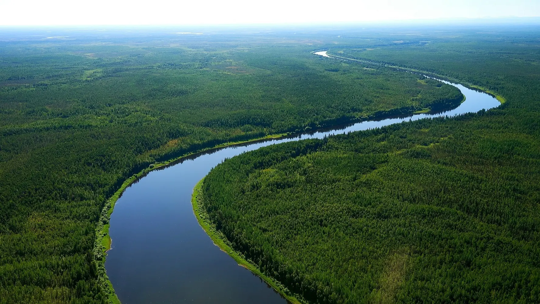 🌿 Приглашаются добровольцы для участия в экспедициях по арктическим районам Югры

Начался прием зая