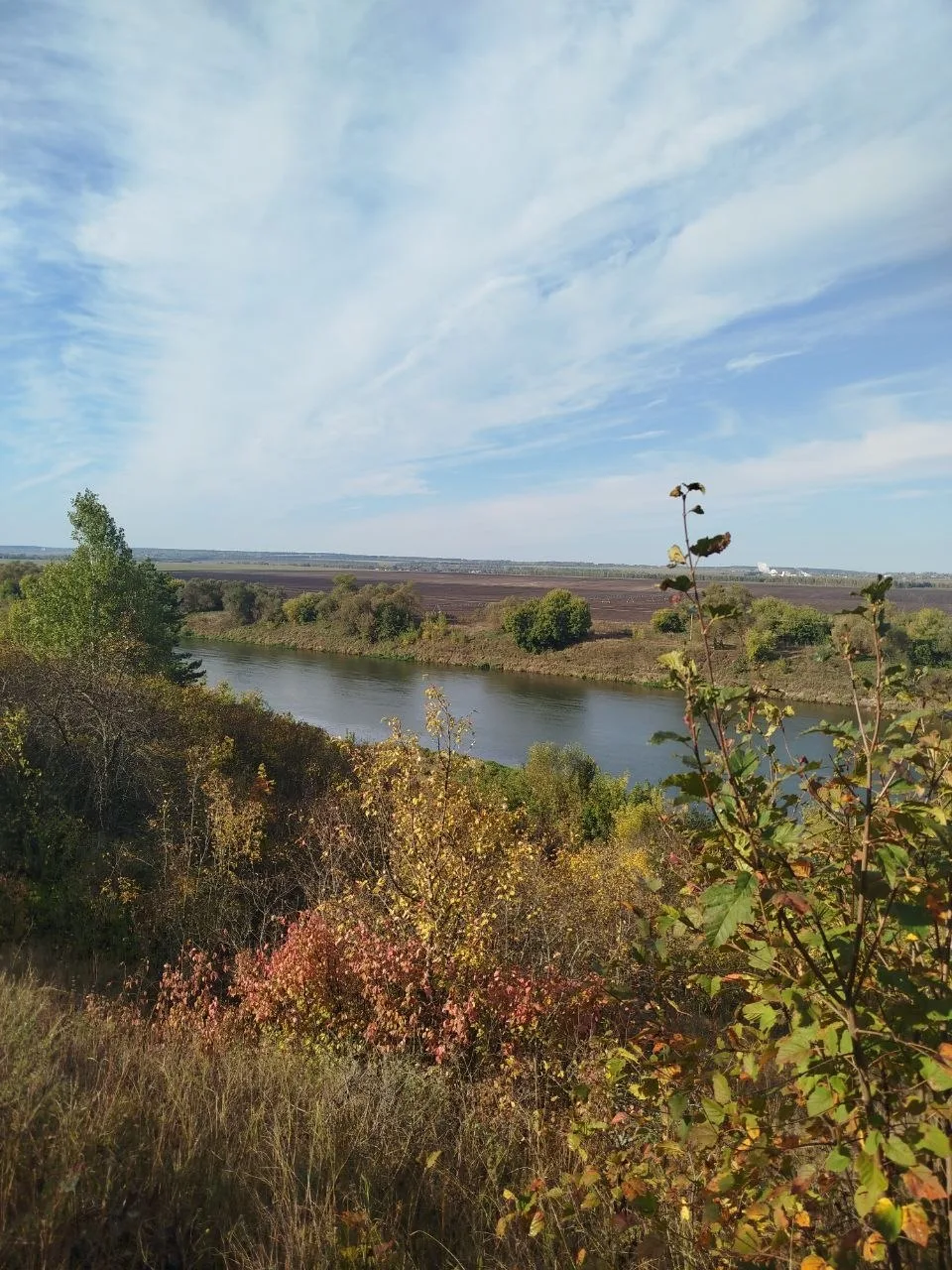 Красоты Задонского района от нашей читательницы 🍂