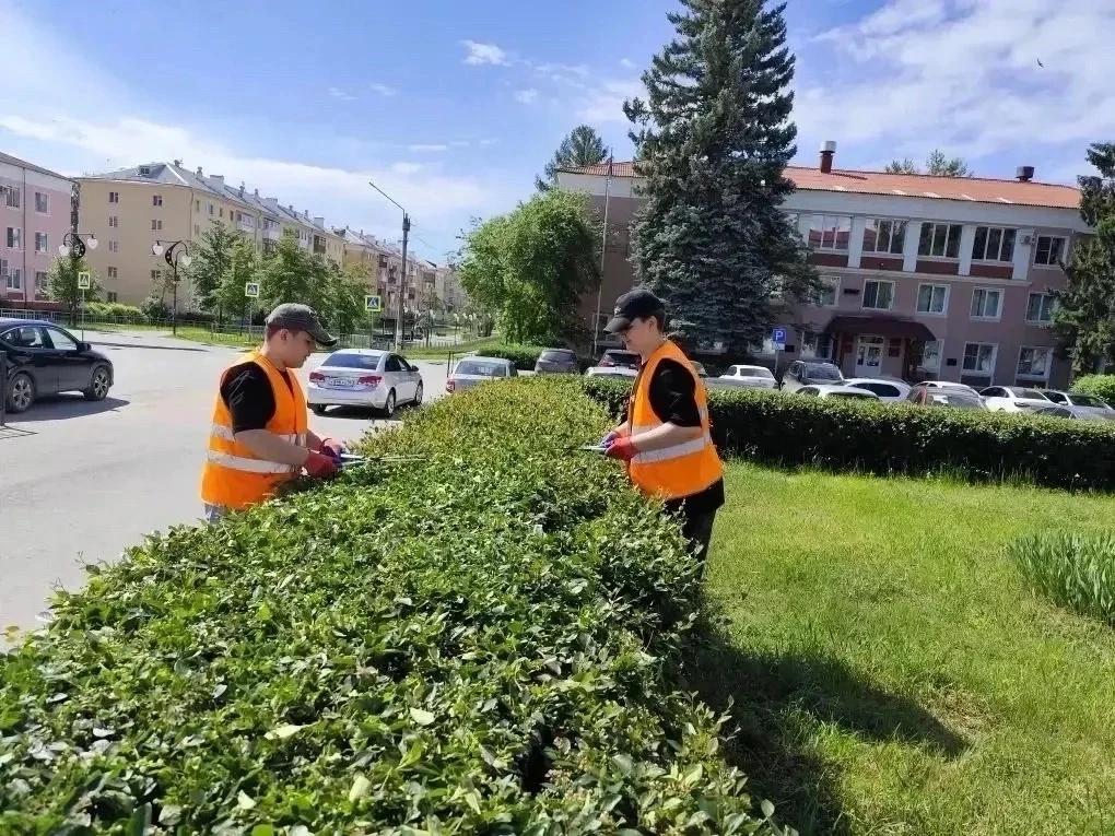🌿 Лето, которое делает город лучше