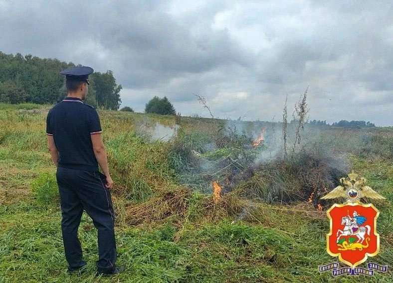 🚔 В Подмосковье под Луховицами полиция нашла 30 соток каннабиса