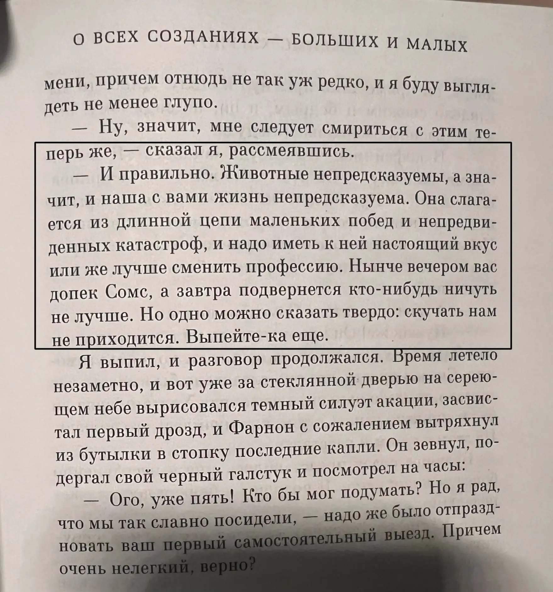 Я уже и не надеялась сегодня связаться с вами. Вернувшись домой, я обнаружила, что мой огород разоре