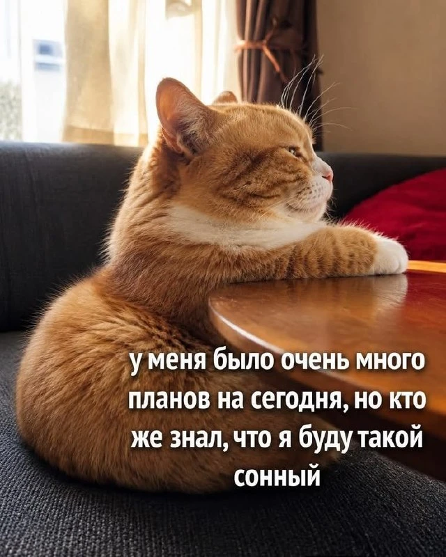 🌹Открытки для любимых