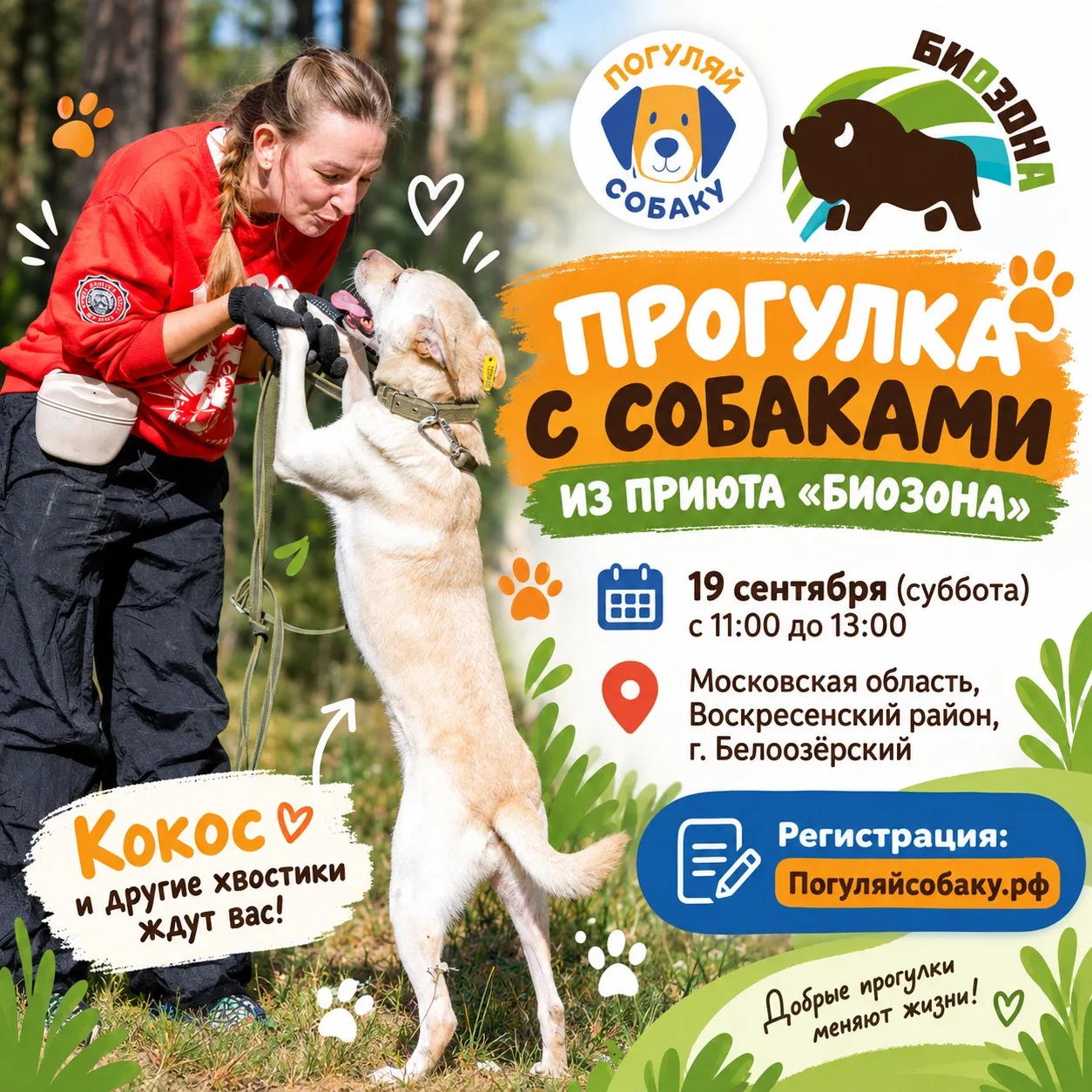 Не пропустите золотую осень! Наслаждайтесь ею вместе с нами и пёсиками из приюта «Биозо...