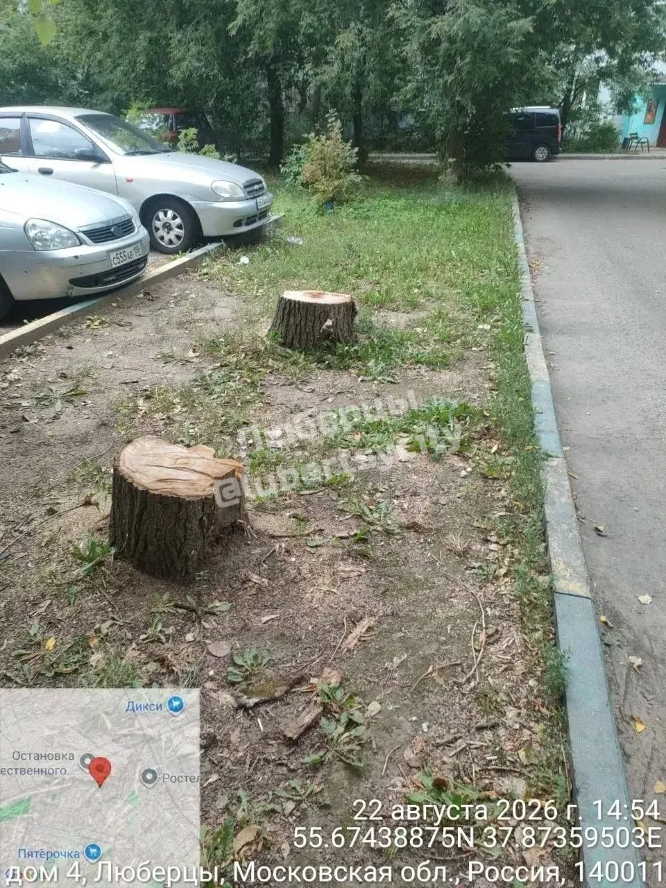 Сотрудники ЛГЖТ 29.06.26 года произвели спил деревьев по адресу Люберцы Шоссейная 4 и н...