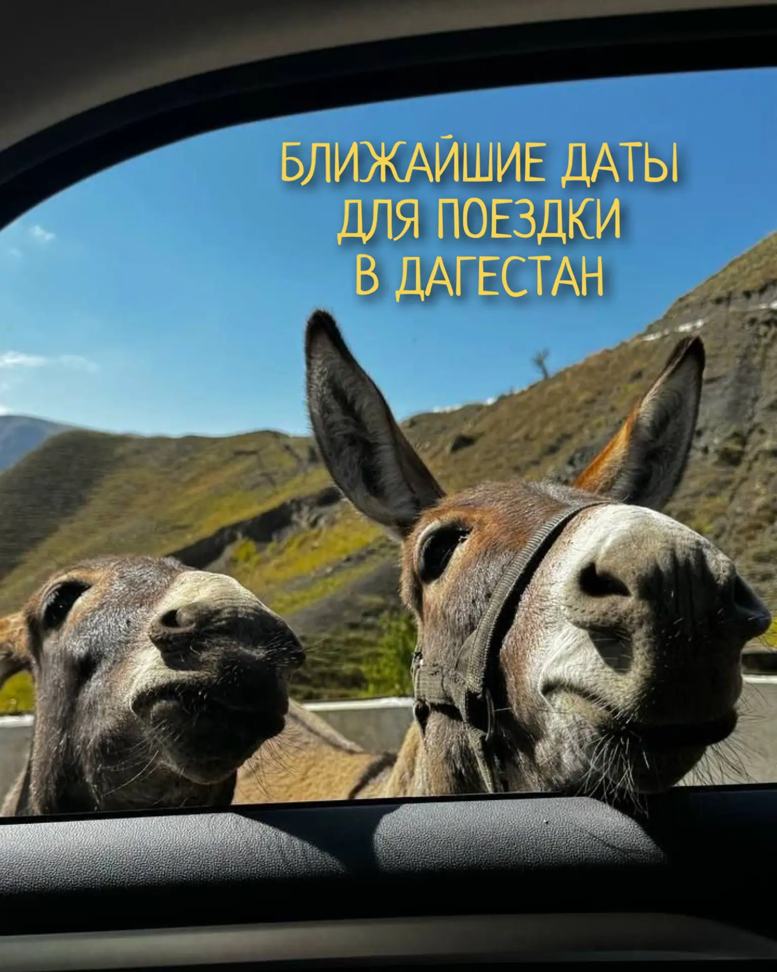 🍁Это золотой сезон в стране гор.