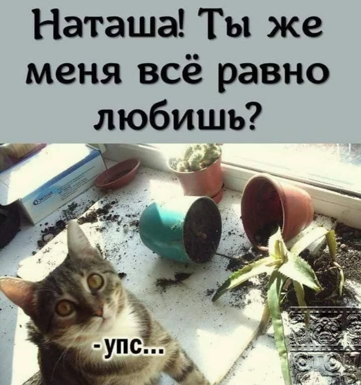 😁😁😁