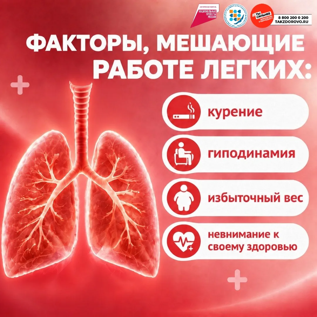 - Ключевыми факторами риска развития патологии органов дыхания является курение любого ...