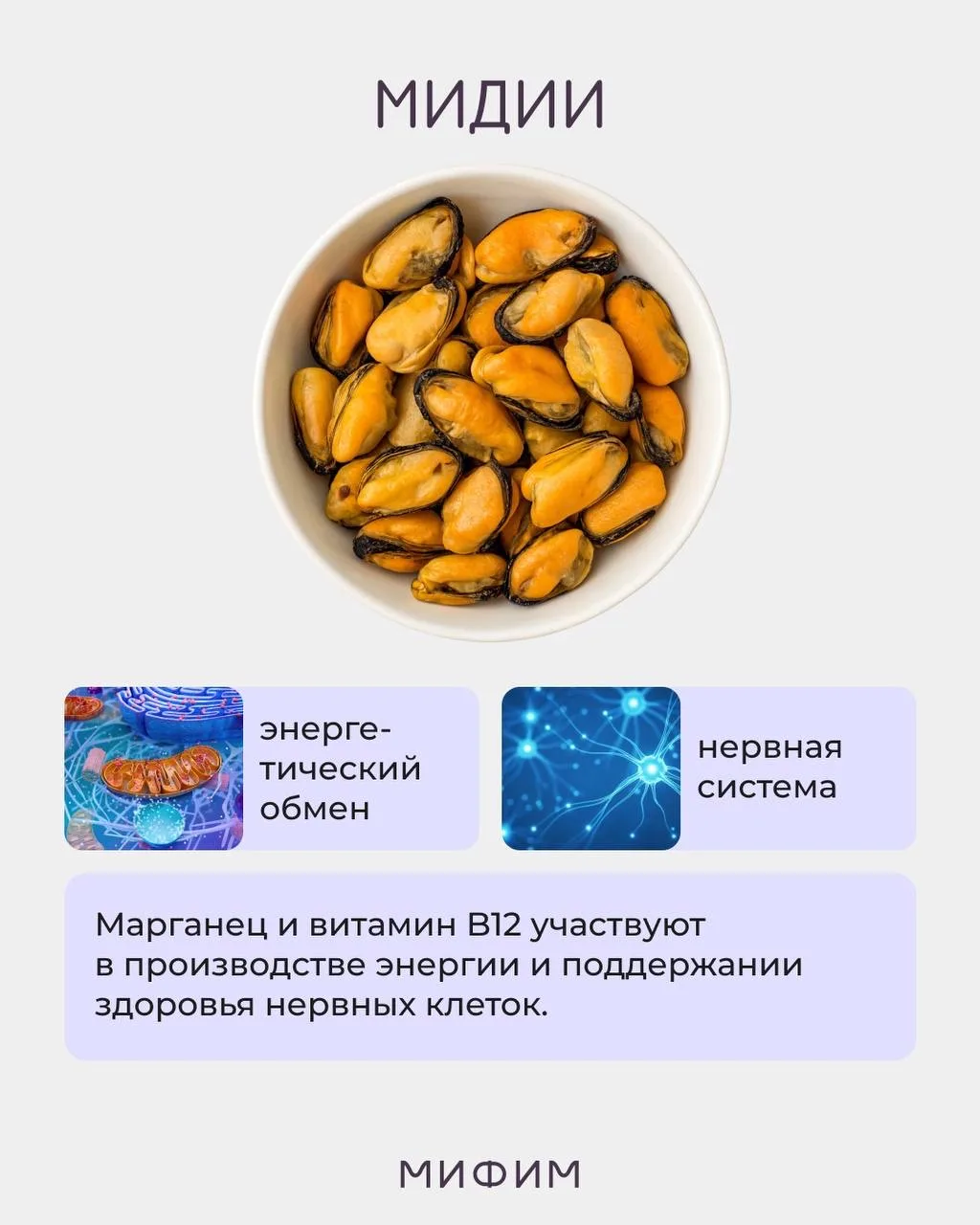 КАК ДАВНО ВЫ ЕЛИ МОРЕПРОДУКТЫ? 🦐  А ведь это настоящая кладезь белка, витаминов, минералов и жирных 