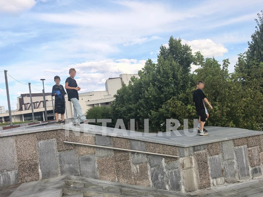 «Нас стали обзывать и несколько раз попали моему ребенку в голову». Инцидент в парке По...